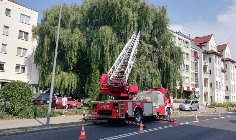 Gałęzie w każdej chwili mogły spać na samochody i przechodniów