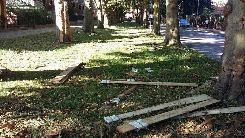 Zabezpieczenia wokół platanów zdewastowane. Jest zawiadomienie na policję