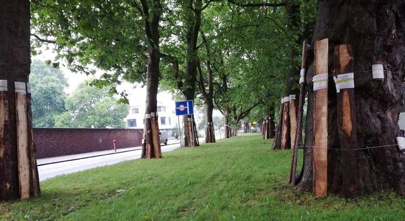 Budowa nowej ścieżki rowerowej. Będą utrudnienia