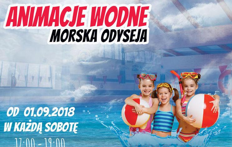 Animacje i siatkówka wodna