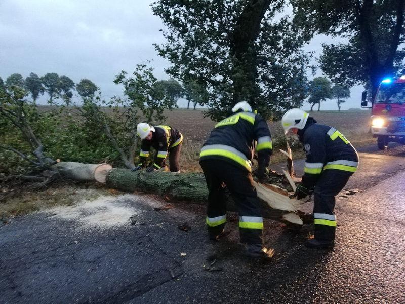 Kilkanaście interwencji w związku z połamanymi drzewami