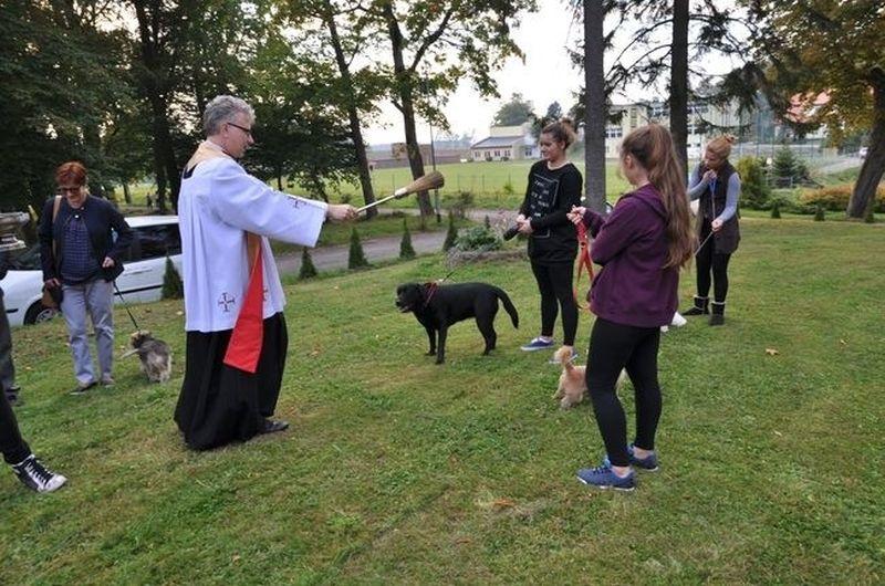 Jedyna taka msza, na którą możesz zabrać zwierzę 