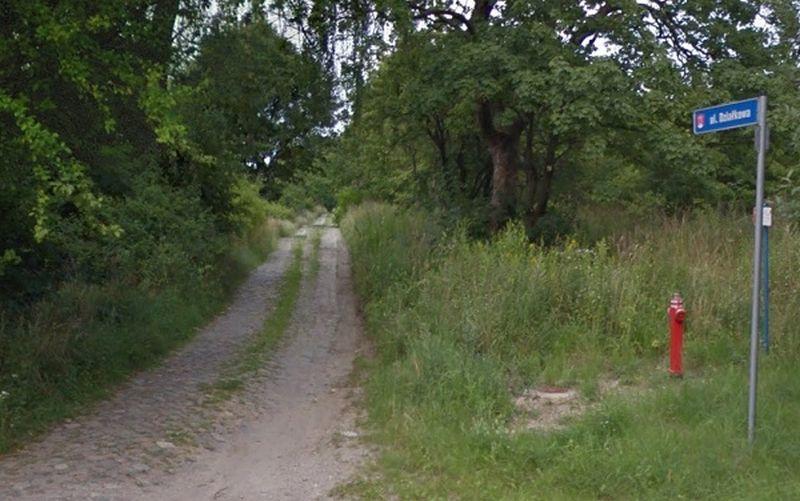 Utrudnienia w ruchu - Niekanin ul. Działkowa 