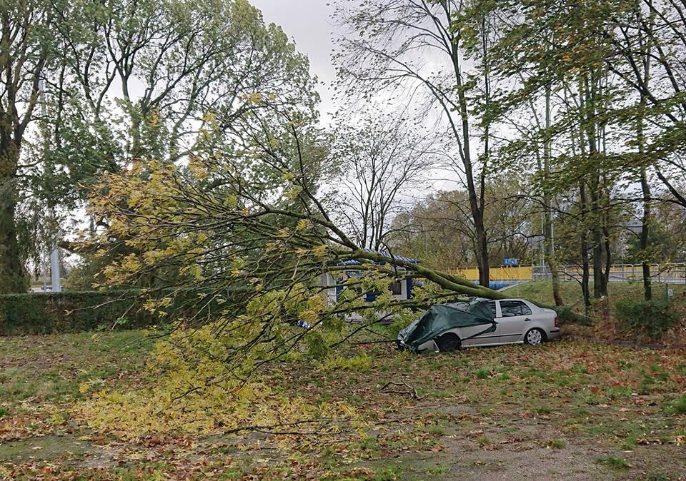 Zobacz ile razy straż wyjeżdżała w związku z silnym wiatrem 