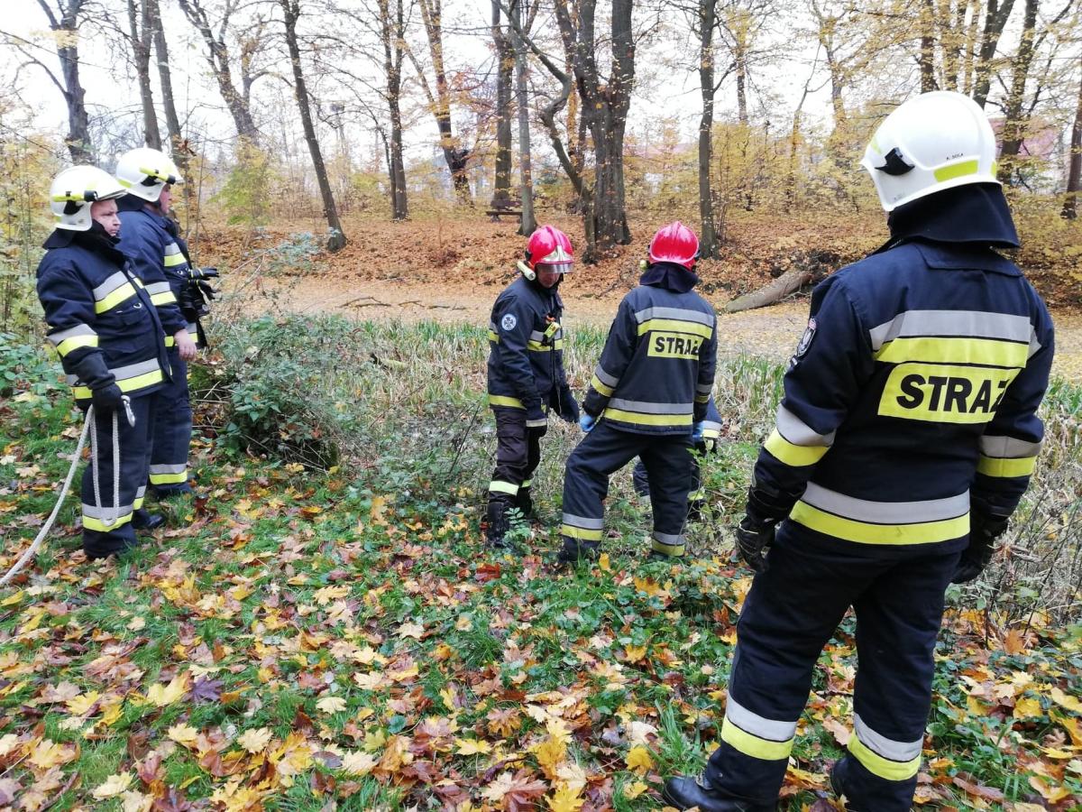 W stawie znaleziono martwą kobietę
