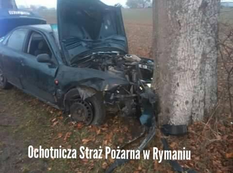 Uderzyła w drzewo