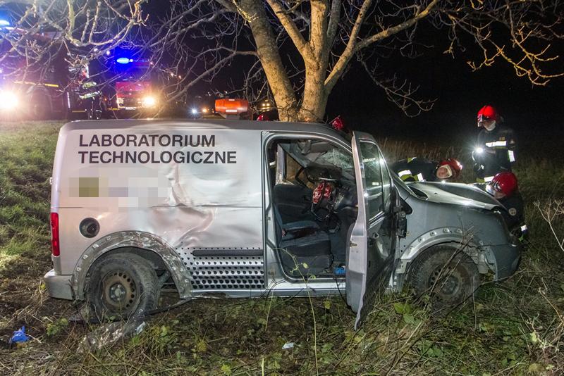 Zjechał z drogi uderzył w drzewo
