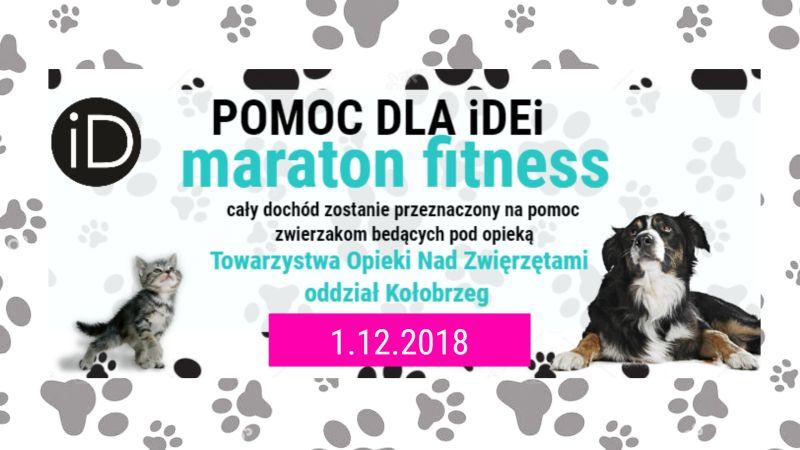 Pomoc dla iDei - maraton fitness i pole dance dla bezdomnych zwierzaków