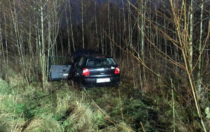 Po uderzeniu w dzika wypadła z drogi 
