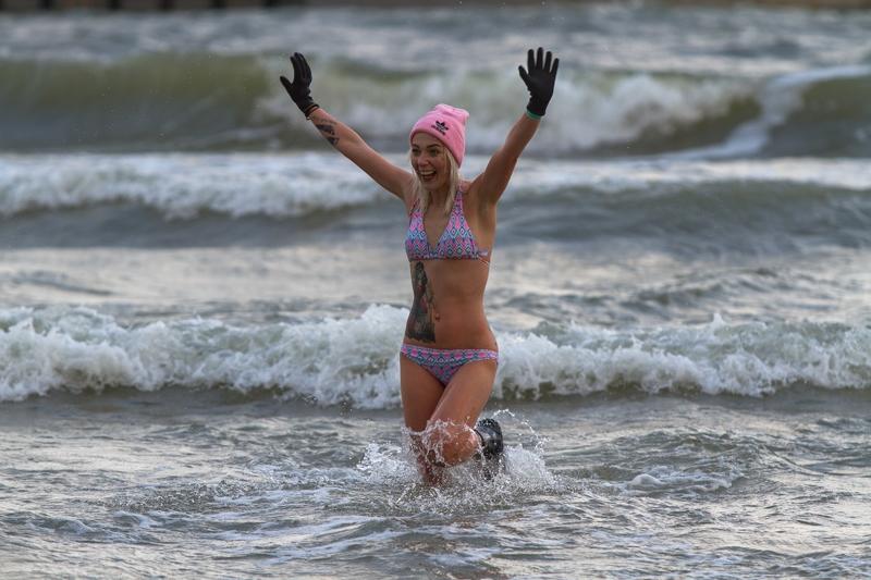 Morsy opanowały plażę centralną w Kołobrzegu (Foto)