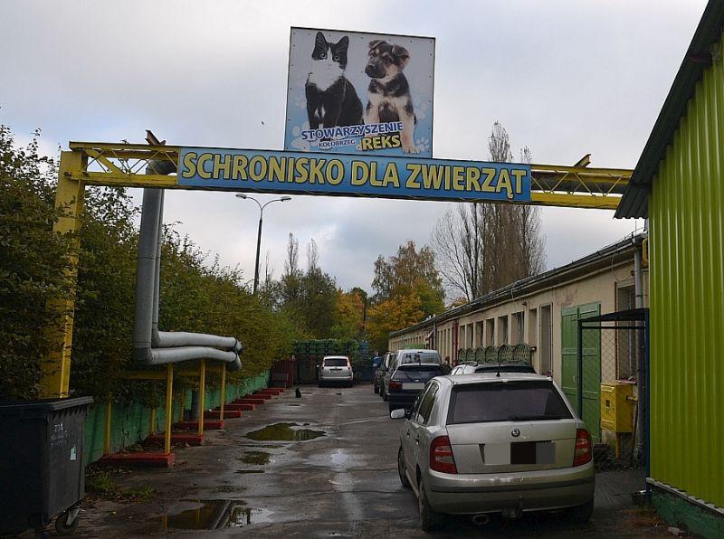 Nowe boksy i szpital dla psów. Szykuje się remont schroniska