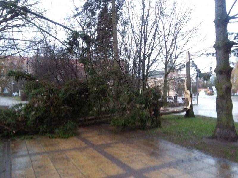 Kilka minut silnego wiatru i 20 interwencji strażaków (Foto)