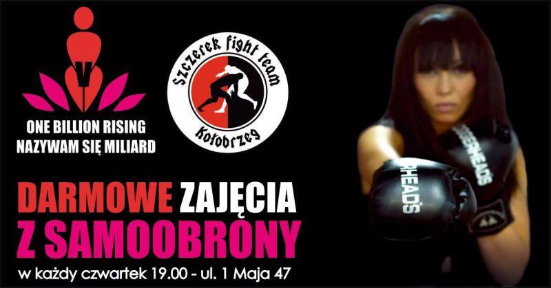 Stop Przemocy Wobec Kobiet