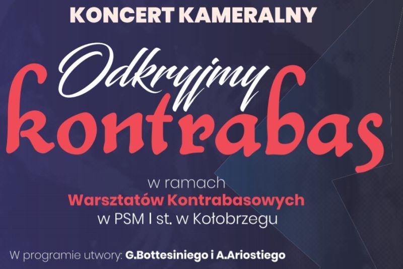 Koncert kameralny w sali Ratusza Miejskiego