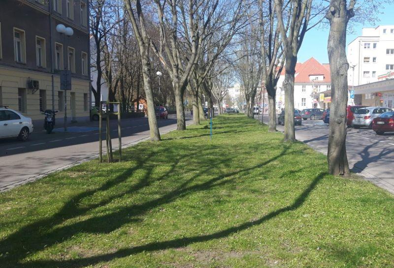 Kolejny przetarg na zagospodarowanie alei św. Jana Pawła II