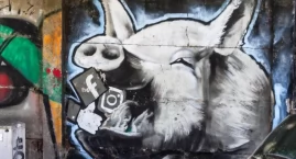 Kołobrzeskie graffiti czyli coś dla miłośników street artu