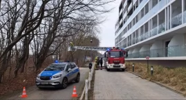 Kto zniszczył drzewa na alei w Sianożętach? Policja będzie szukała sprawcy haniebnego czynu