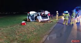 Audi wypadło z drogi. Jedna osoba poszkodowana 