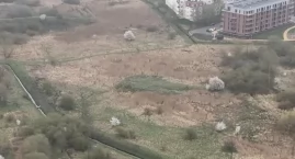 12 ha zielonych terenów jeszcze w tym roku trafi do miasta. Tutaj powstanie Park Południe 
