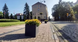 Z centrum zniknął parking. Zamiast – bratki i stokrotki