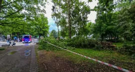 W Parku Nadmorskim złamało się drzewo. Spadło na wej&hellip;