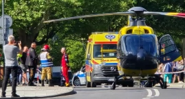Nie mieli szans uciec. Spadające drzewo raniło przec&hellip;
