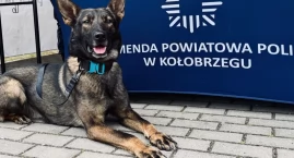 Szczęśliwy finał poszukiwań 81-latka. Rodzina podzię&hellip;