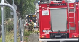 Duża gałąź runęła na jezdnię przy ul. Szpitalnej. Sz&hellip;