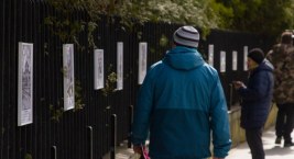 Delfiny w Bałtyku. Były niedaleko Kołobrzegu i przy Jastarni