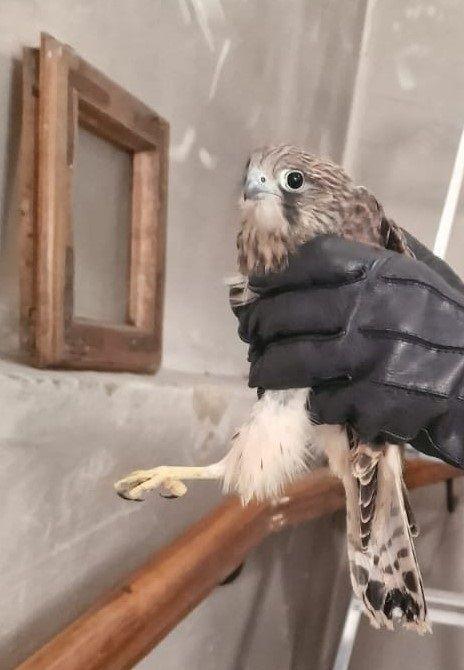 Nietypowa akcja