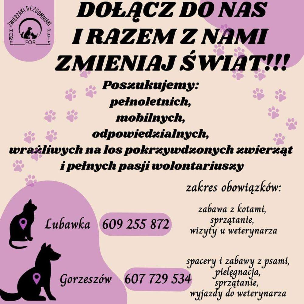 Szukają wolontariuszy