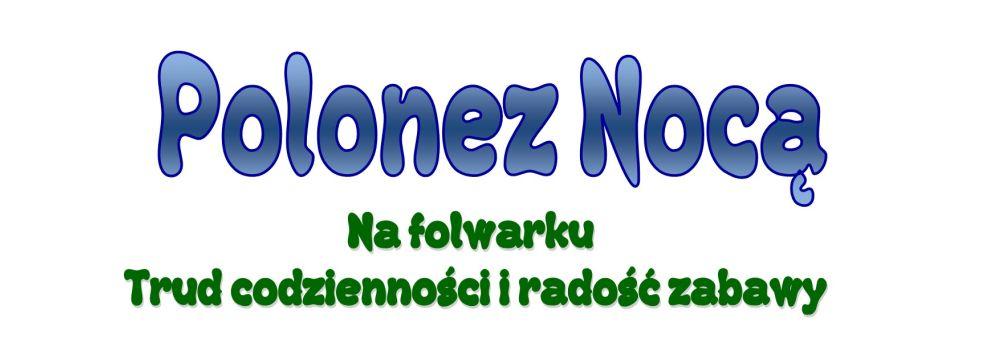 Pokaz taneczny podczas Poloneza Nocą 