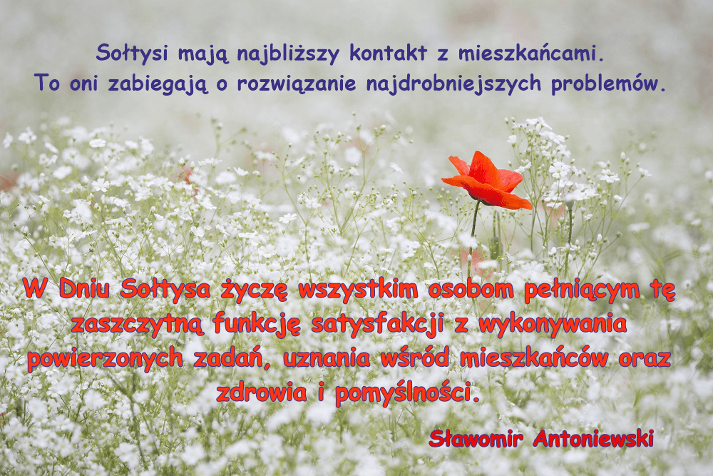 Dzień Sołtysa