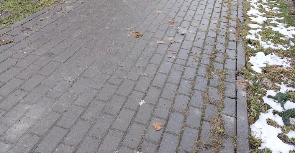 Niespodzianki na chodnikach - Twoja powiatowa
