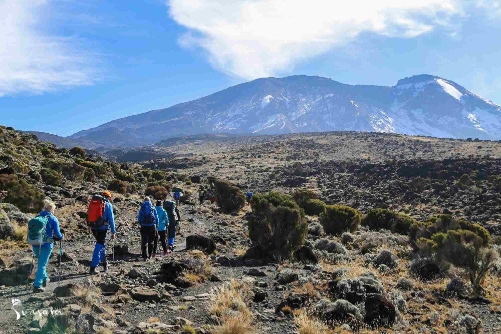 Zdobądź Kilimanjaro z grupą pozytywnych ludzi