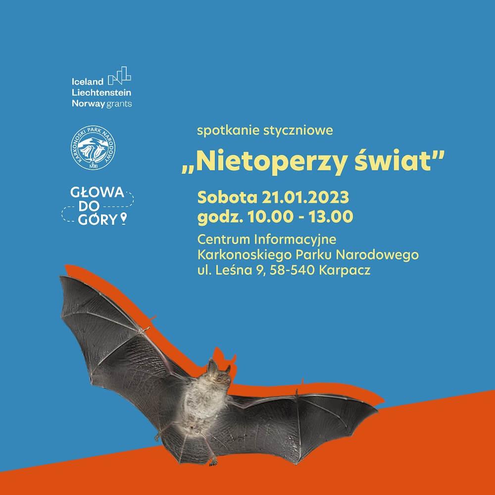 O nietoperzach
