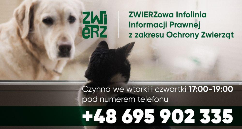 ZWIERZowa Infolinia