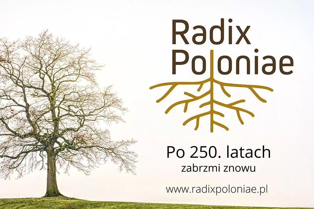Radix Poloniae ponownie w Krzeszowie