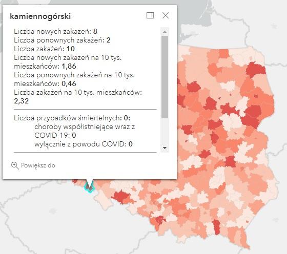 Koronawirus - statystyka - powiat kamiennogórski - 11.8.2022. 