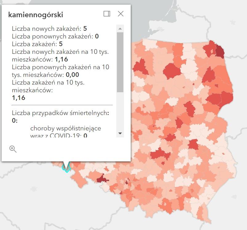 Koronawirus - statystyka - powiat kamiennogórski - 10.8.2022. 