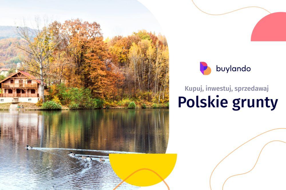 Działki nad jeziorem. Czy można ufać sprzedającym grunty?