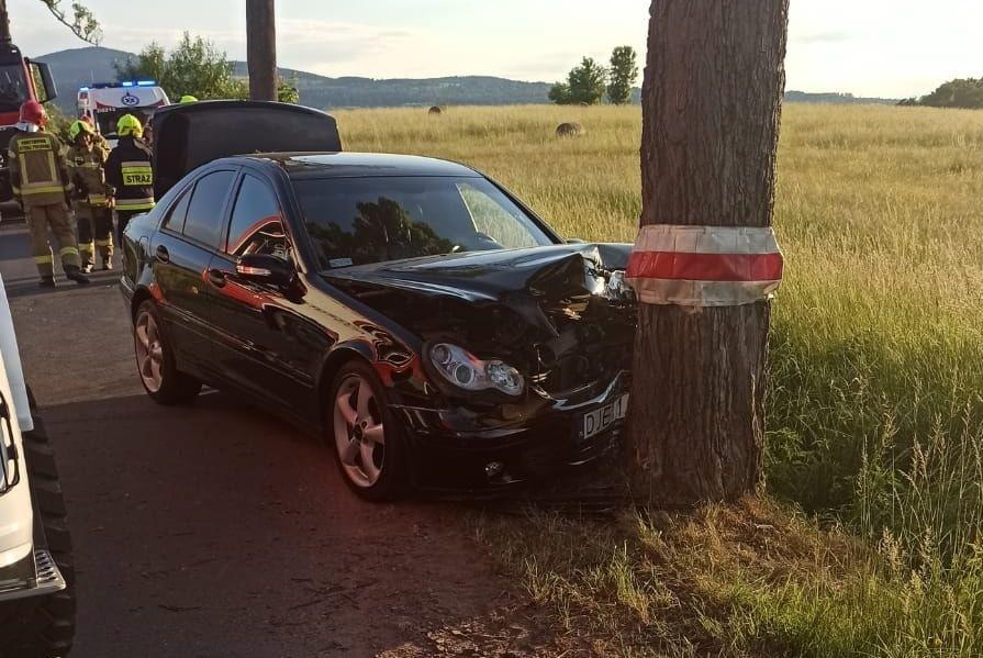 Uderzył w drzewo