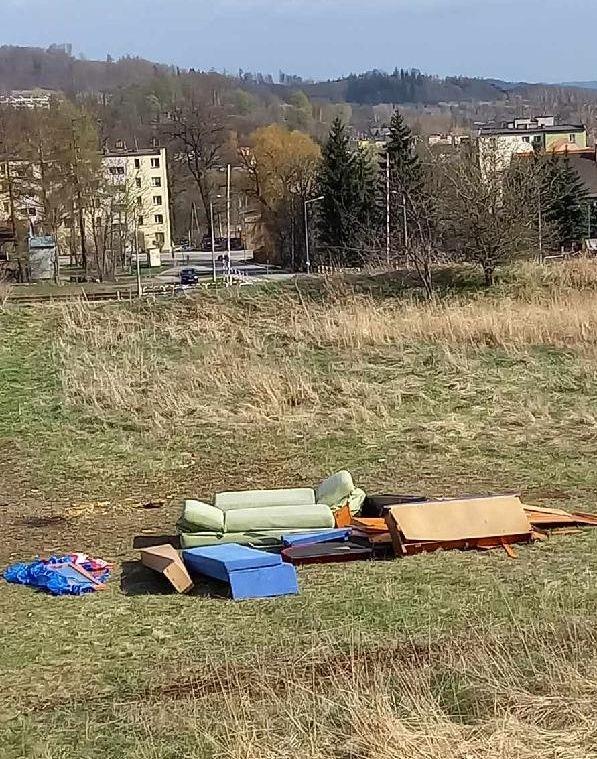 Wypoczynek na łące - Twoja powiatowa
