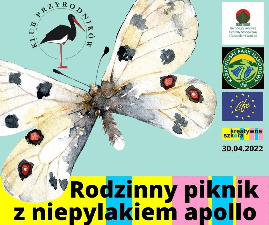 Rodzinny piknik w krainie niepylaka apollo