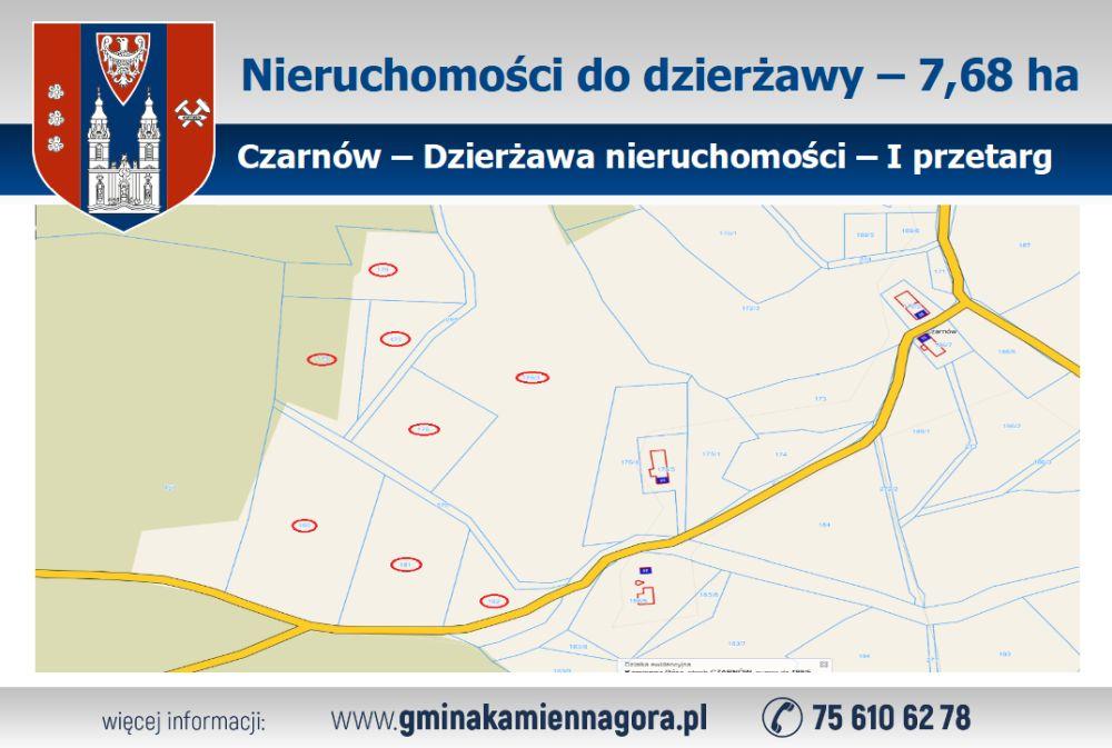 Działki Czarnów - dzierżawa