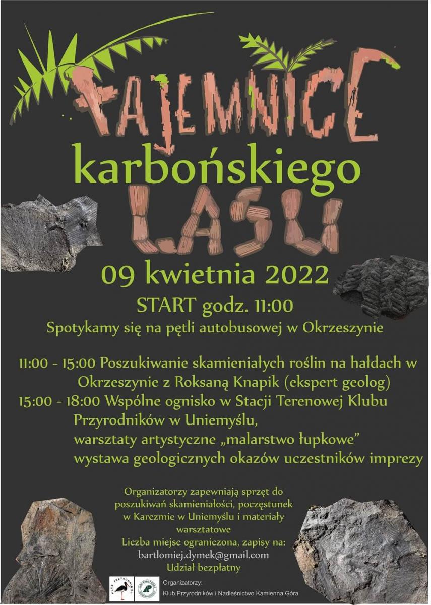 Tajemnice karbońskiego lasu