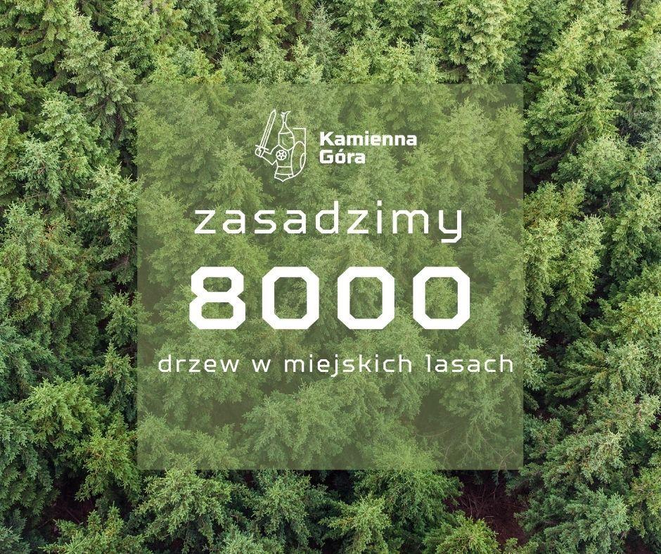 Gospodarka leśna