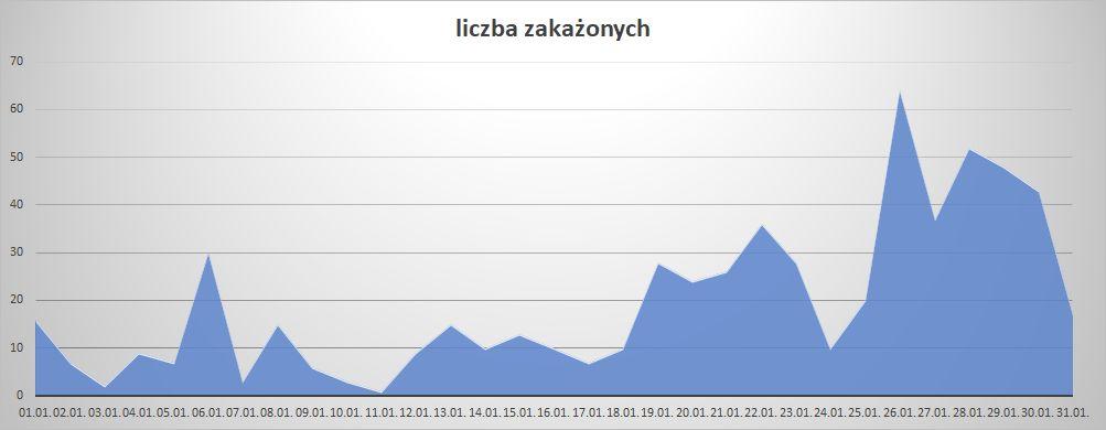 Koronawirus - powiat kamiennogórski - styczeń 2022