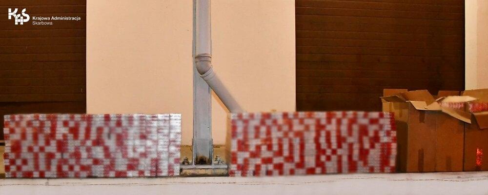 Shila pomogła wytropić nielegalne papierosy warte prawie 148 tys. zł
