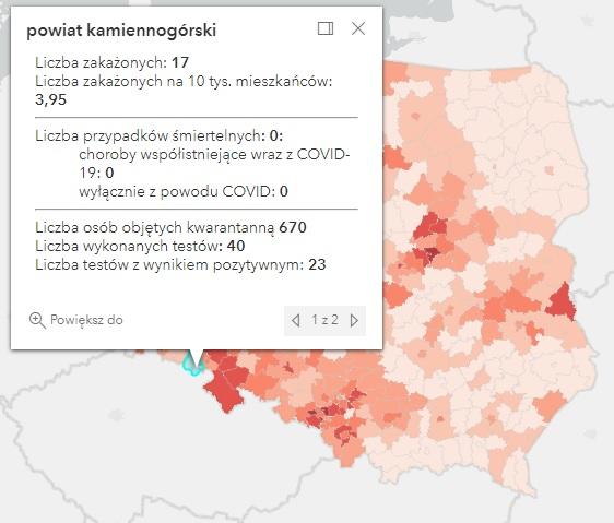 Koronawirus - statystyka - powiat kamiennogórski - 31.1.2022. 
